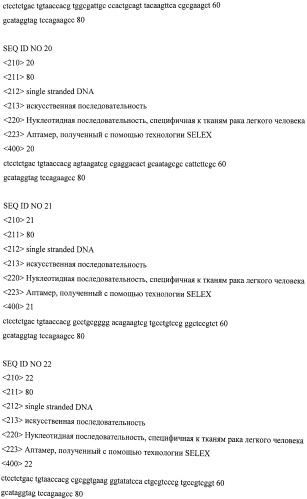 Аптамер, специфичный к опухолевым тканям легкого человека (патент 2528870)