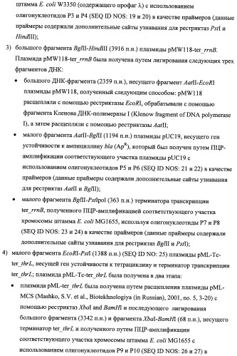 Способ получения l-треонина с использованием бактерии, принадлежащей к роду escherichia, модифицированной таким образом, что в ней нарушена способность к образованию ворсинок типа &quot;керли&quot; (патент 2338782)