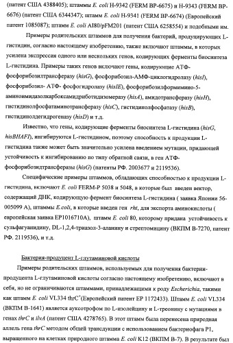 Способ получения l-треонина с использованием бактерии, принадлежащей к роду escherichia, модифицированной таким образом, что в ней нарушена способность к образованию ворсинок типа &quot;керли&quot; (патент 2338782)