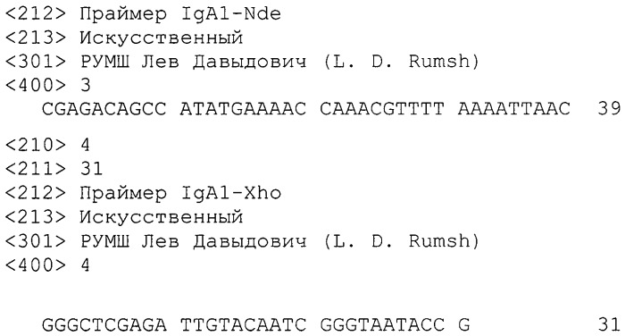 Нуклеиновая кислота, кодирующая функционально активную рекомбинантную iga1 протеазу neisseria meningitidis серогруппы b, рекомбинантная плазмидная днк, содержащая нуклеотидную последовательность, кодирующую активную iga1 протеазу, штамм-продуцент, содержащий плазмидную днк, продуцирующий зрелую форму iga1 протеазы, рекомбинантная ig протеаза neisseria meningitidis серогруппы в, способ получения зрелой формы iga1 протеазы, обладающей иммуногенными и протективными свойствами (патент 2453599)