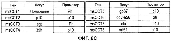Векторы (патент 2569183)