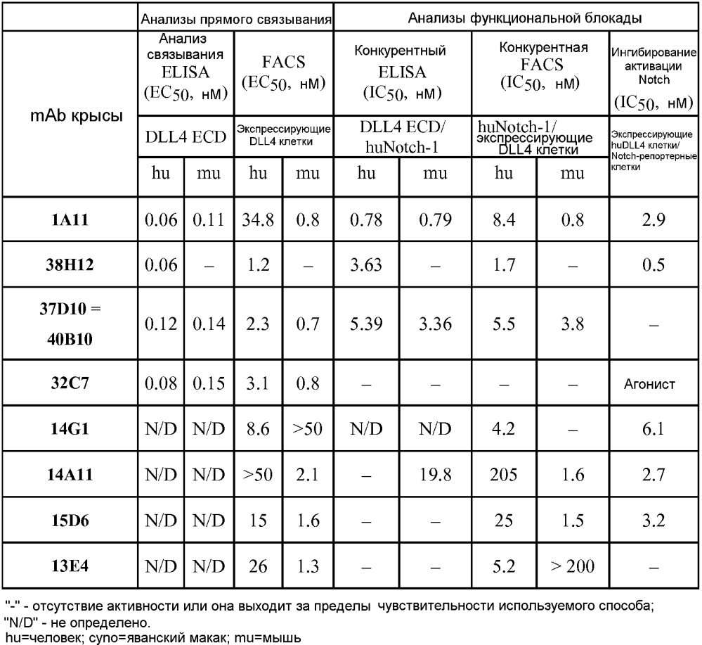 Терапевтические dll4-связывающие белки (патент 2605928)