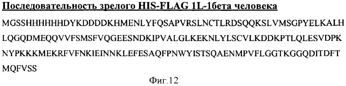 Члены связывания против il-1r1 (патент 2555532)