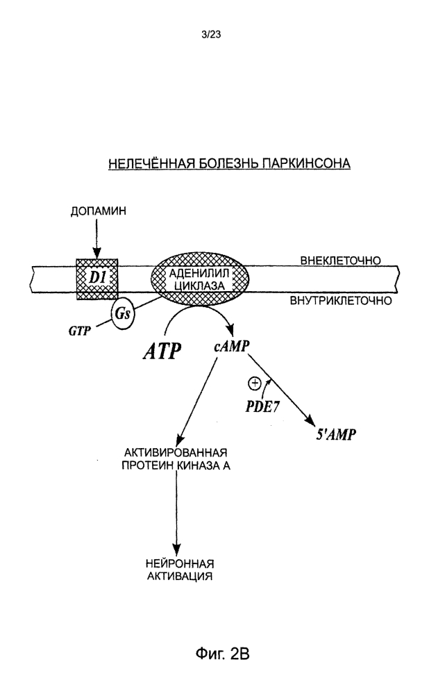 Использование ингибиторов pde7 для лечения нарушений движений (патент 2600869)