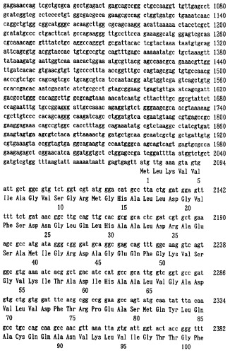 Способ получения l-лизина с использованием бактерий methylophilus и способ получения бактериальных клеток methylophilus (патент 2334794)