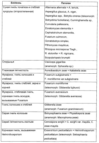 Способ повышения стойкости к стрессовым факторам в растениях (патент 2375452)