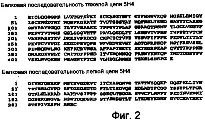 Способы профилактики и лечения ракового метастаза и разрежения кости, связанного с раковым метастазом (патент 2470665)