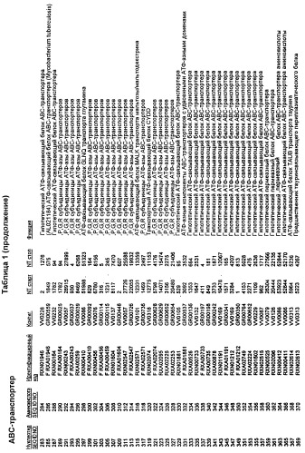 Гены corynebacterium glutamicum, кодирующие белки, участвующие в синтезе мембран и мембранном транспорте (патент 2312145)