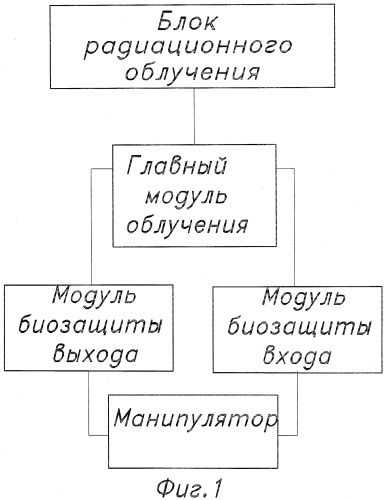 Блок радиационного облучения (патент 2400253)