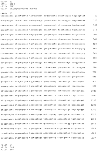 Стабильные иммуногенные композиции антигенов staphylococcus aureus (патент 2570730)