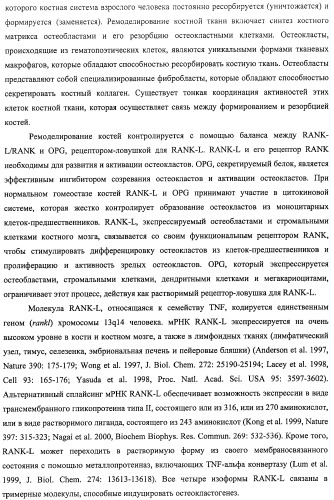 Аминокислотные последовательности, направленные на rank-l, и полипептиды, включающие их, для лечения заболеваний и нарушений костей (патент 2481355)