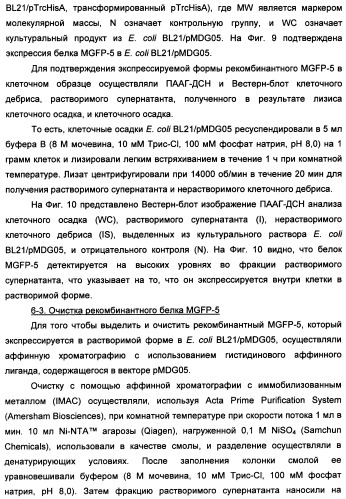 Биоадгезив мидии (патент 2349599)