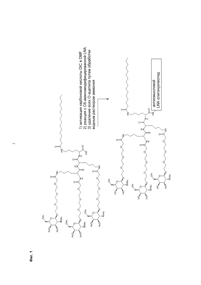 Конъюгаты углевода и lna-олигонуклеотида (патент 2649367)