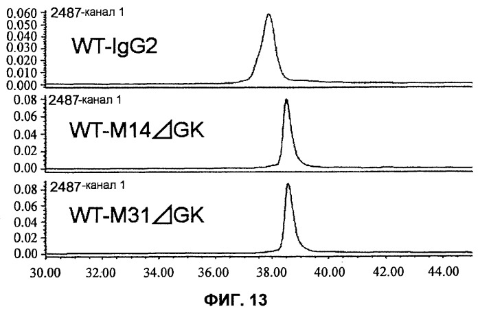 Модифицированная константная область антитела (патент 2526512)