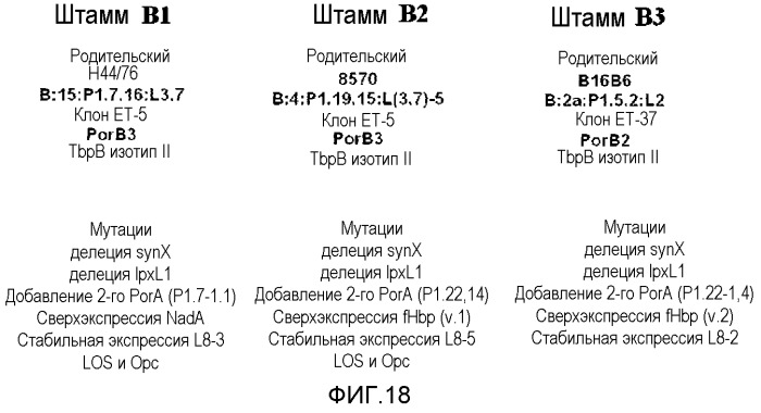 Мультивалентная вакцина из нативных везикул наружной мембраны менингококков, способы ее получения и применения (патент 2477145)