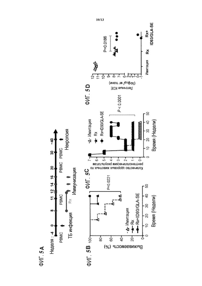 Композиции и способы для лечения активной инфекции mycobacterium tuberculosis (патент 2659149)