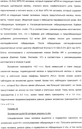 Выделенный полипептид, обладающий антивирусной активностью (варианты), кодирующий его полинуклеотид (варианты), экспрессирующий вектор, рекомбинантная клетка-хозяин, способ получения полипептида, антитело, специфичное к полипептиду, и фармацевтическая композиция, содержащая полипептид (патент 2321594)