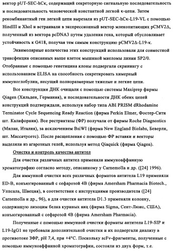 Избирательный направленный перенос в сосудистую сеть опухоли с использованием молекул антител (патент 2347787)