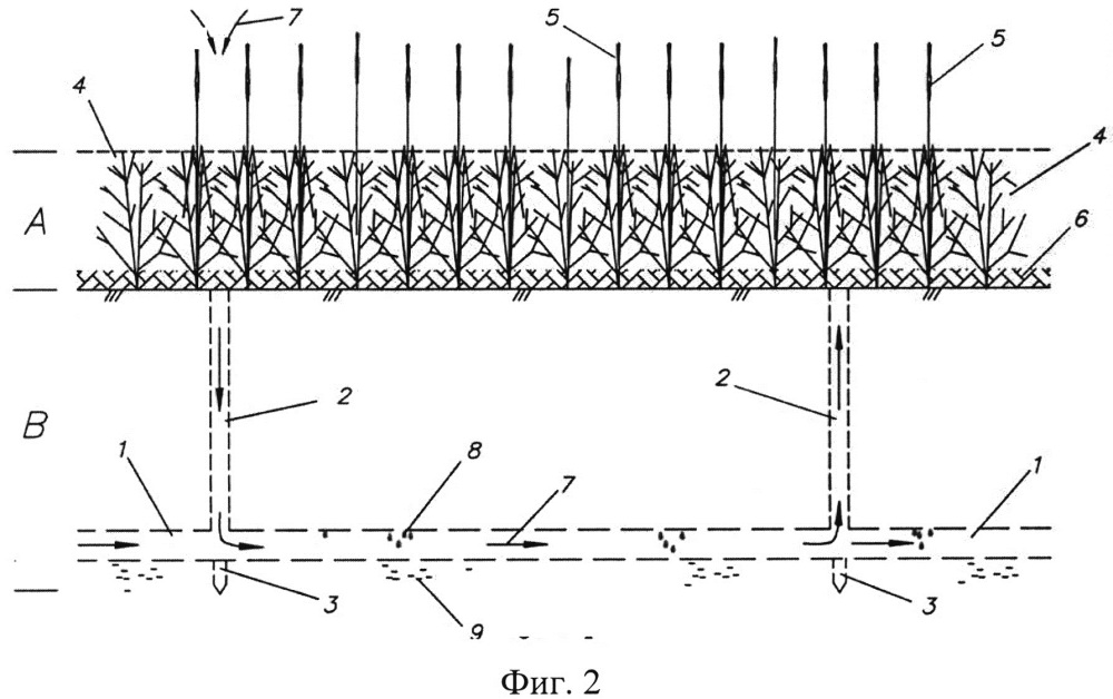Способ самополивного внутрипочвенного орошения атмосферной парообразной влагой при выращивании зерновых культур (патент 2632335)
