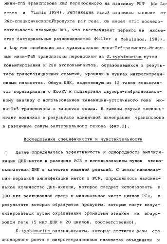 Vgc2 днк salmonella typhimurium, мутантная бактерия, обладающая пониженной способностью к адаптации к условиям окружающей среды, и способ ее получения (патент 2370541)