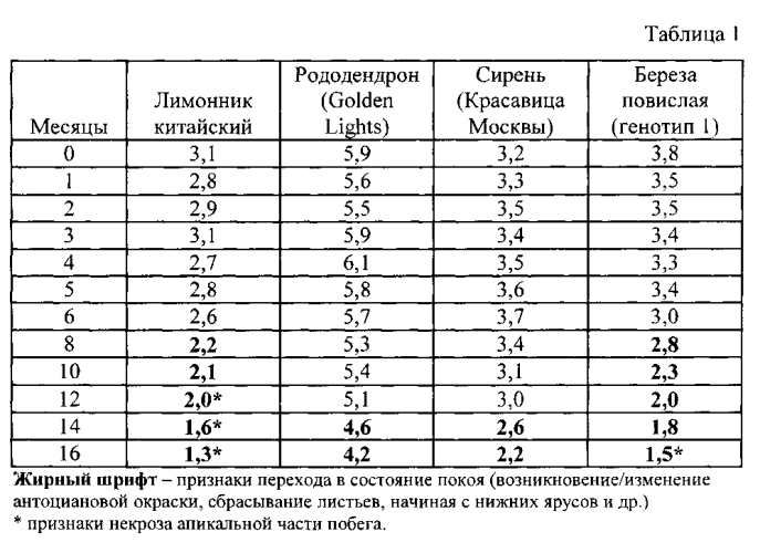 Способ сохранения качественных характеристик культуры in vitro некоторых древесных видов растений (лимонник китайский, рододендрон, сирень, береза повислая) (патент 2590703)