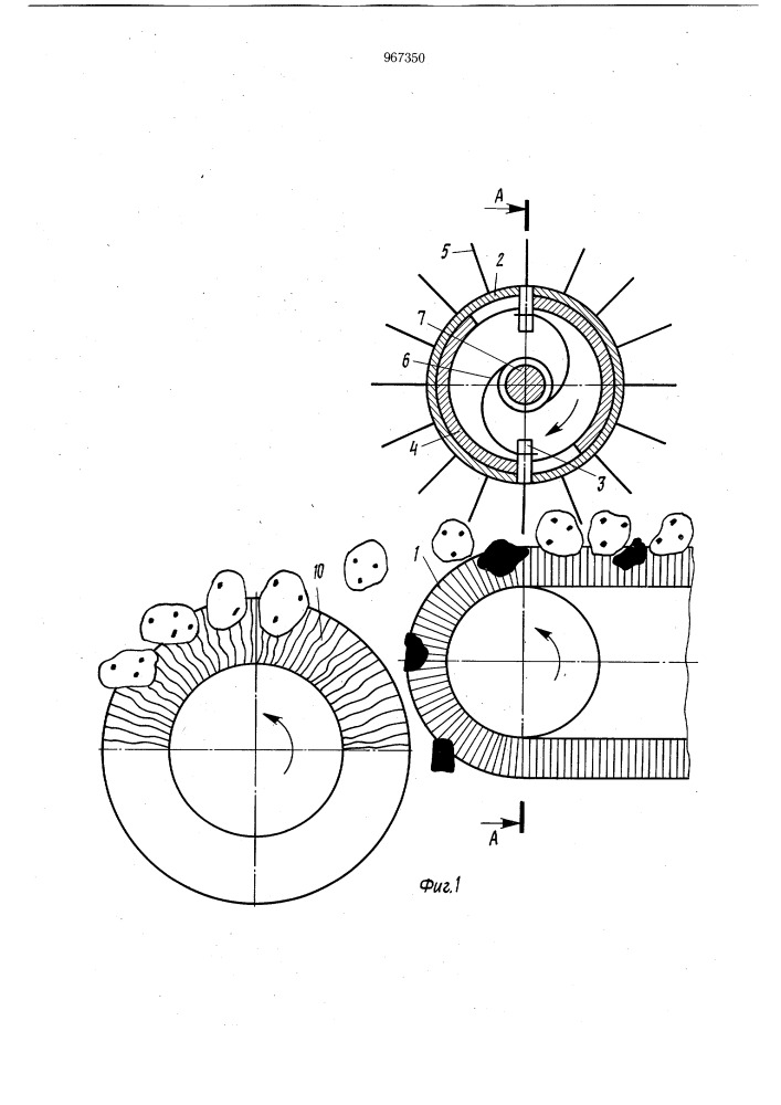 Устройство для отделения корнеклубнеплодов от камней и комков почвы (патент 967350)