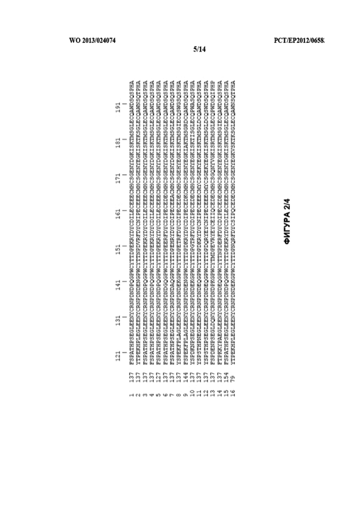 Варианты плазминогена и плазмина (патент 2604810)