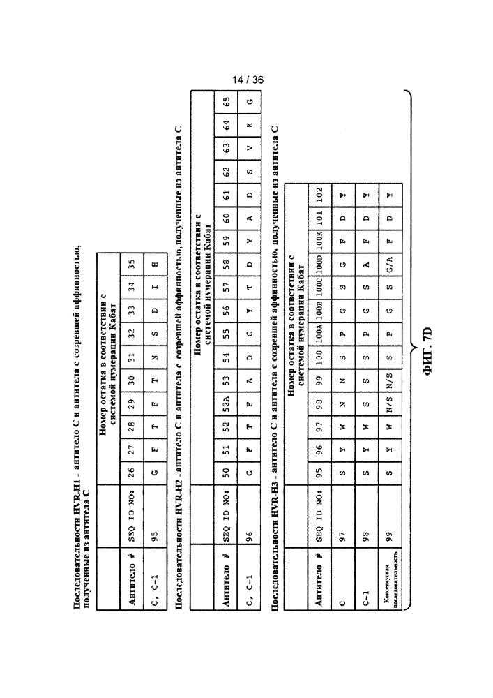 Антитела к jagged и способы их применения (патент 2666990)