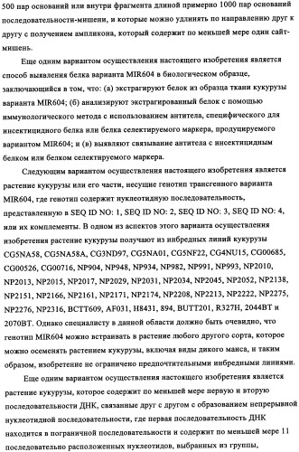 Вариант кукурузы mir604 (патент 2351122)