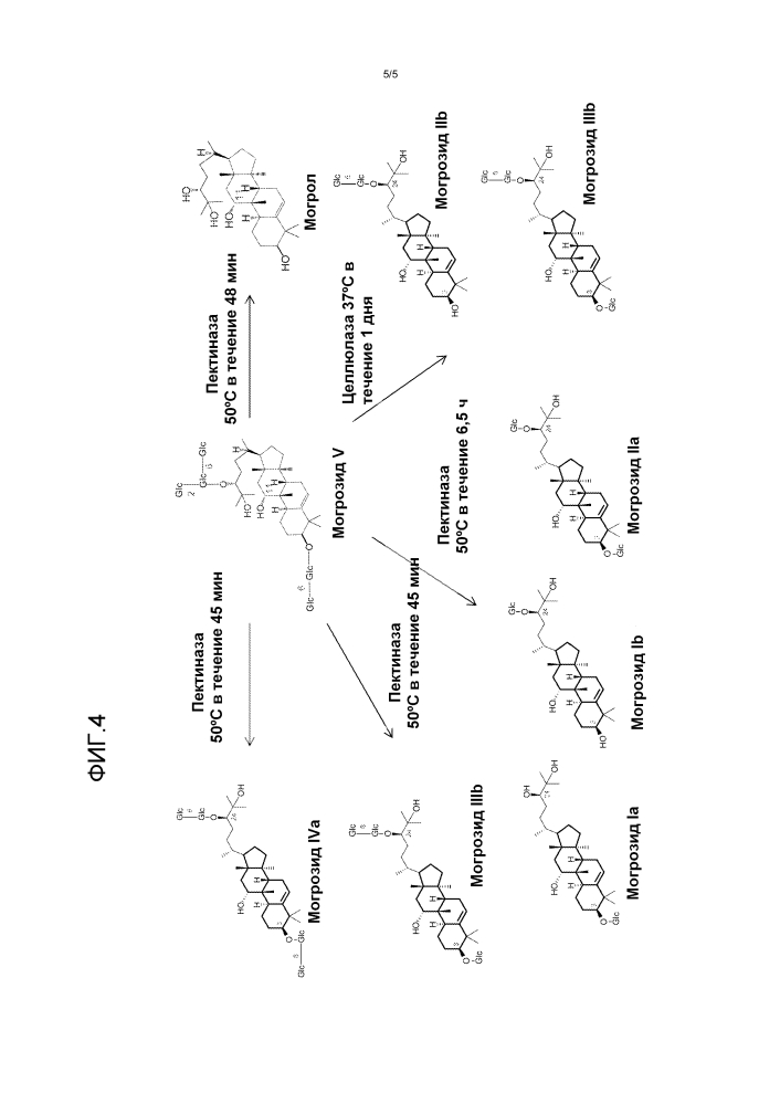 Способы ферментативного синтеза могрозидных соединений (патент 2633644)