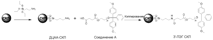 Конъюгат мирнк и способ его получения (патент 2558258)