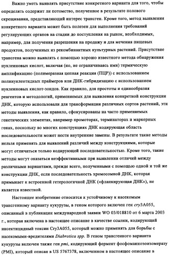Вариант кукурузы mir604 (патент 2351122)