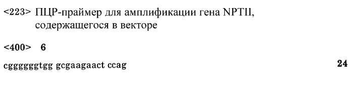 Картофель с повышенным выходом крахмала в пересчете на отдельное растение и способ его получения (патент 2289914)