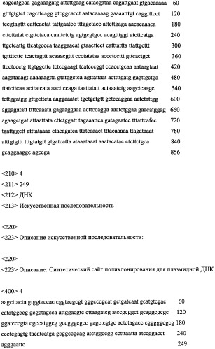 Молекулярный контроль сегрегации трансгенов и их утечки с использованием системы возмещаемого блокирования функции (патент 2270866)