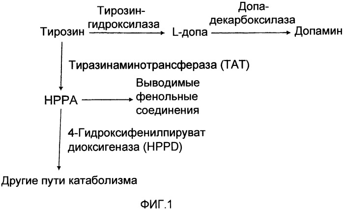 Применение 2-(2-нитро-4-трифторметилбензоил)-1,3-циклогександиона при лечении болезни паркинсона (патент 2420272)
