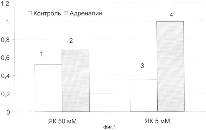 Цитобиохимический способ определения активности сукцинатдегидрогеназы, окисления эндогенной янтарной кислоты, сигнального действия микромолярных концентраций янтарной кислоты, его применение для количественной оценки уровня адренергической регуляции в организме, среда и набор для осуществления способа (патент 2364868)