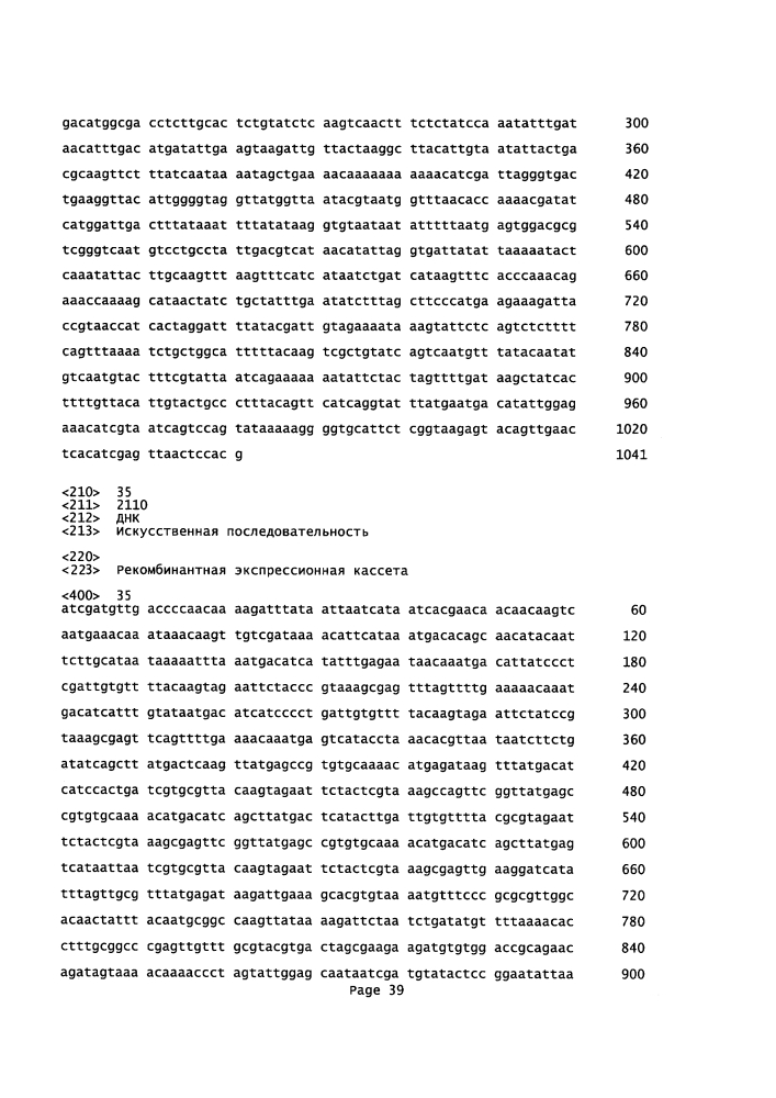 Элементы рекомбинантной днк для экспрессии рекомбинантных белков в клетке-хозяине (патент 2619161)