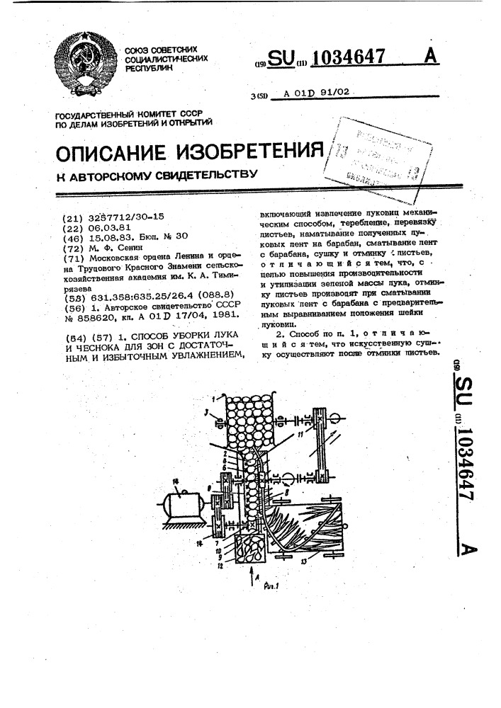 Способ уборки лука и чеснока для зон с достаточным и избыточным увлажнением (патент 1034647)