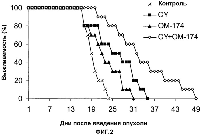 Комбинированная противоопухолевая терапия и фармацевтические композиции для нее (патент 2396960)