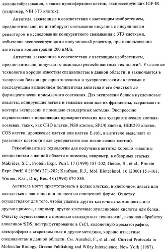 Антитела к рецептору инсулиноподобного фактора роста i и их применение (патент 2363706)