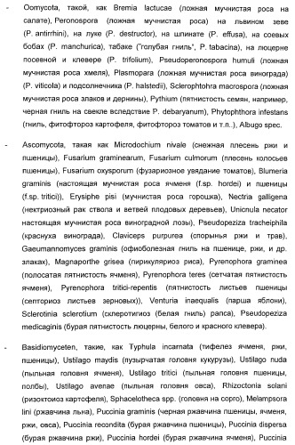 Способ повышения стойкости к стрессовым факторам в растениях (патент 2375452)