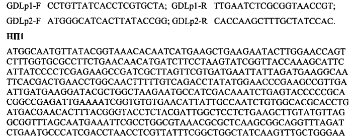 Штаммы lactobacillus plantarum и lactobacillus brevis, синтезирующие гамма-аминомасляную кислоту (патент 2575625)