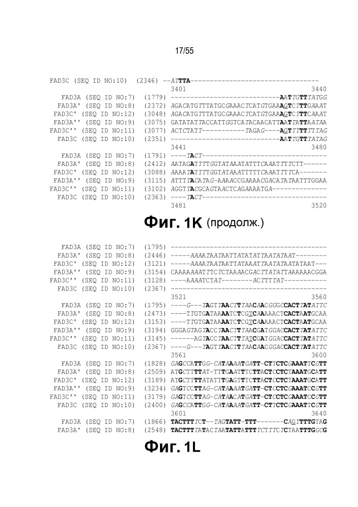 Локусы fad3 для выполнения операций и соответствующие связывающиеся со специфическими сайтами-мишенями белки, способные к вызову направленных разрывов (патент 2665811)