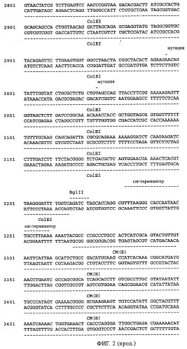 Антитела к a -пептиду и их применение (патент 2341533)