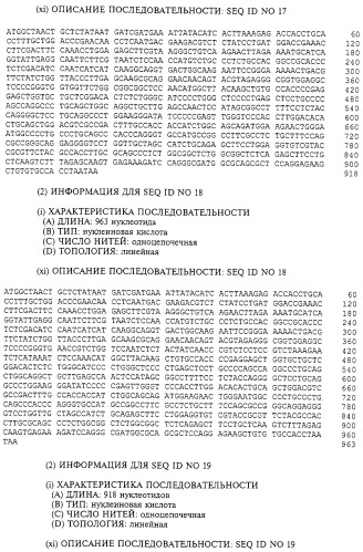 Гемопоэтический белок (варианты), последовательность днк, способ получения гемопоэтического белка, способ селективной экспансии кроветворных клеток, способ продуцирования дендритных клеток, способ стимуляции продуцирования кроветворных клеток у пациента, фармацевтическая композиция, способ лечения (патент 2245887)