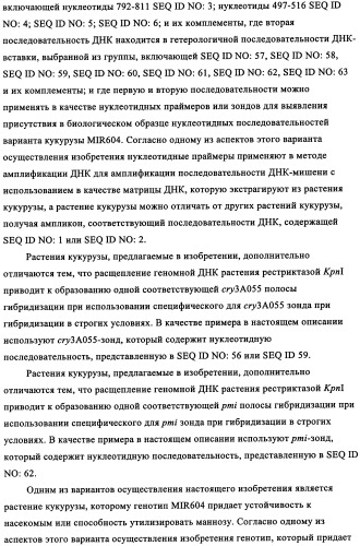 Вариант кукурузы mir604 (патент 2351122)