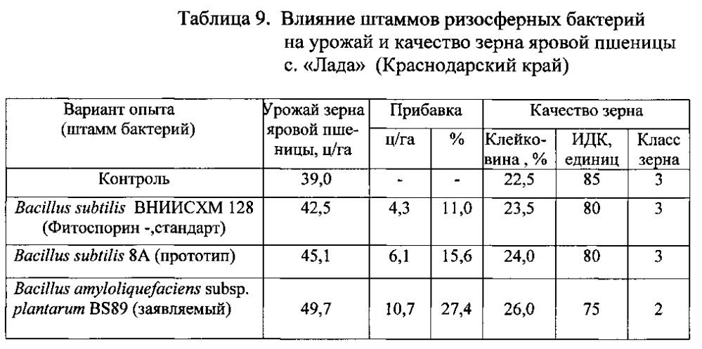 Штамм бактерий bacillus amyloliquefaciens subsp. plantarum bs89 в качестве средства повышения продуктивности растений и их защиты от болезней (патент 2599416)