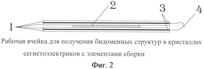 Способ формирования бидоменной структуры в пластинах монокристаллов (патент 2492283)