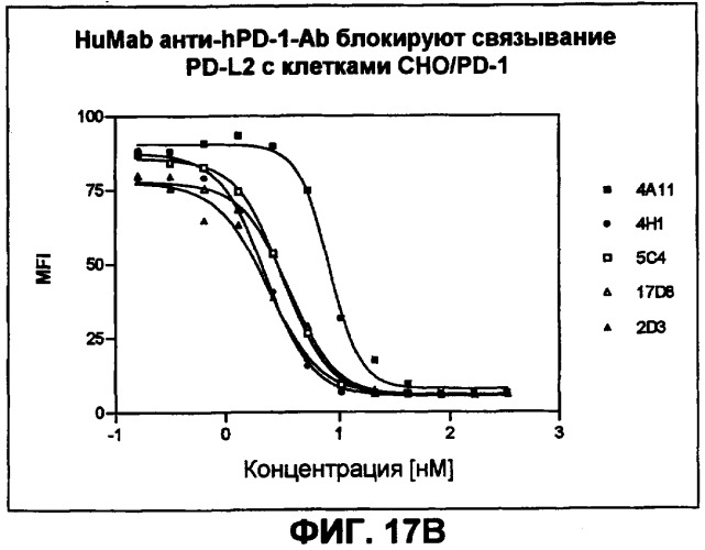 Моноклональные антитела человека к белку программируемой смерти 1 (pd-1) и способы лечения рака с использованием анти-pd-1-антител самостоятельно или в комбинации с другими иммунотерапевтическими средствами (патент 2406760)