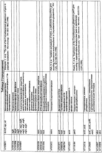 Гены corynebacterium glutamicum, кодирующие белки, участвующие в гомеостазе и адаптации (патент 2304616)